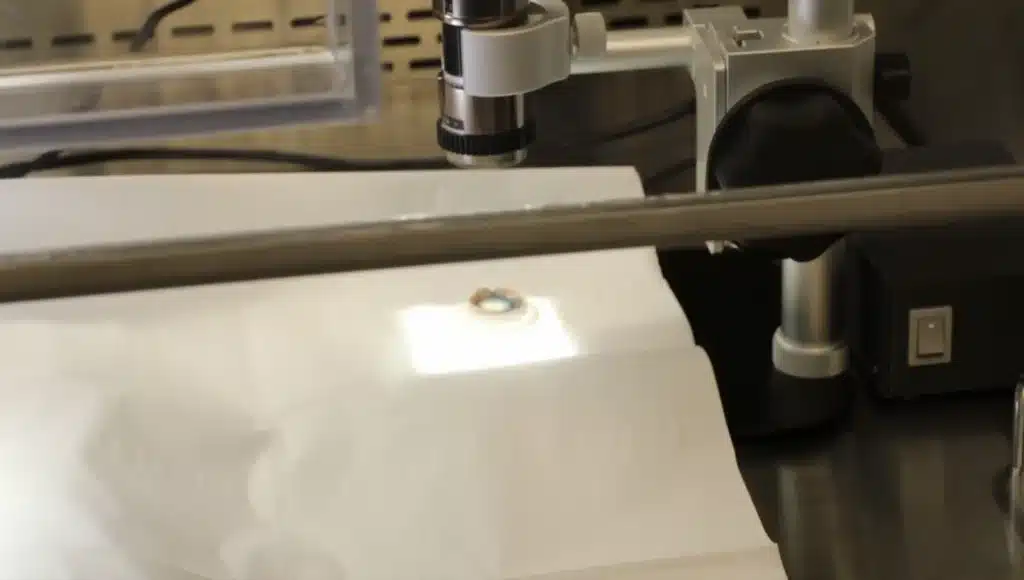 Imagerie tissulaire à l'intérieur de la hotte